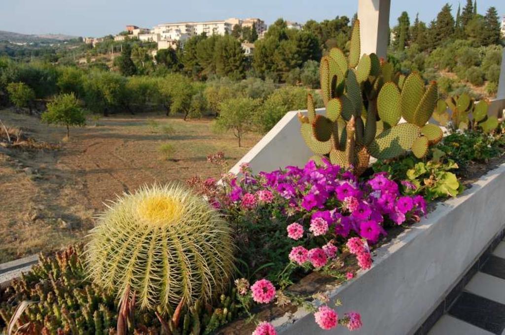 B&B Quattromulini Noto Exteriér fotografie